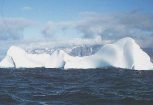 Iceberg
